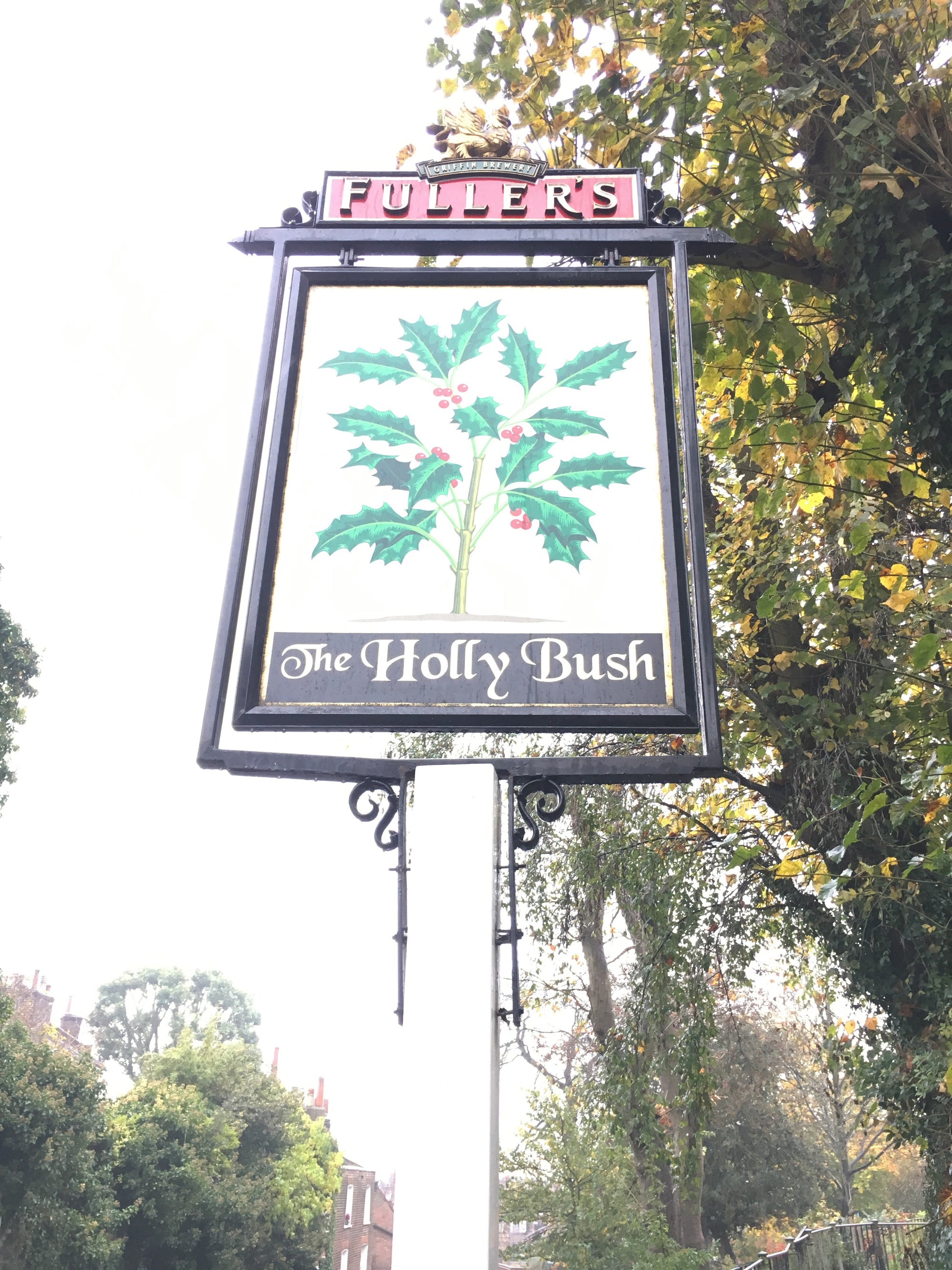 The Holy Bush Camden